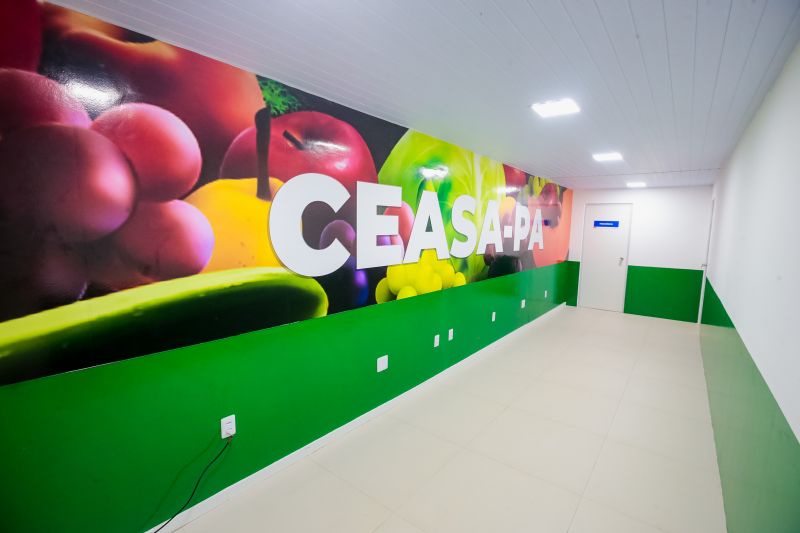 Crédito: Marco Santos / Ag. Pará