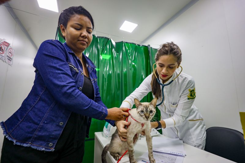  <div class='credito_fotos'>Foto: Bruno Cecim / Ag.Pará &nbsp;&nbsp;|&nbsp;&nbsp; <a href='/midias/2024/originais/18666_78c603d5-c47c-5f1d-8fc8-4f02765cfd4f.jpg' download><i class='fa-solid fa-download'></i> Download</a></div>