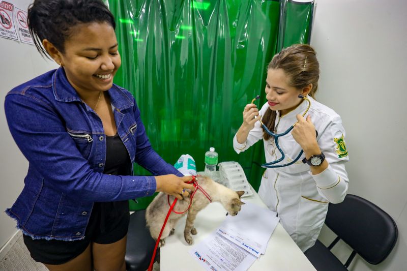  <div class='credito_fotos'>Foto: Bruno Cecim / Ag.Pará &nbsp;&nbsp;|&nbsp;&nbsp; <a href='/midias/2024/originais/18666_856f2313-d158-00fc-8366-138140432450.jpg' download><i class='fa-solid fa-download'></i> Download</a></div>