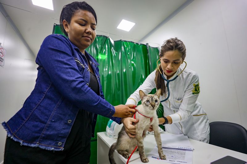  <div class='credito_fotos'>Foto: Bruno Cecim / Ag.Pará &nbsp;&nbsp;|&nbsp;&nbsp; <a href='/midias/2024/originais/18666_8a27aa51-064d-8ee5-93c3-be8150e55dd2.jpg' download><i class='fa-solid fa-download'></i> Download</a></div>