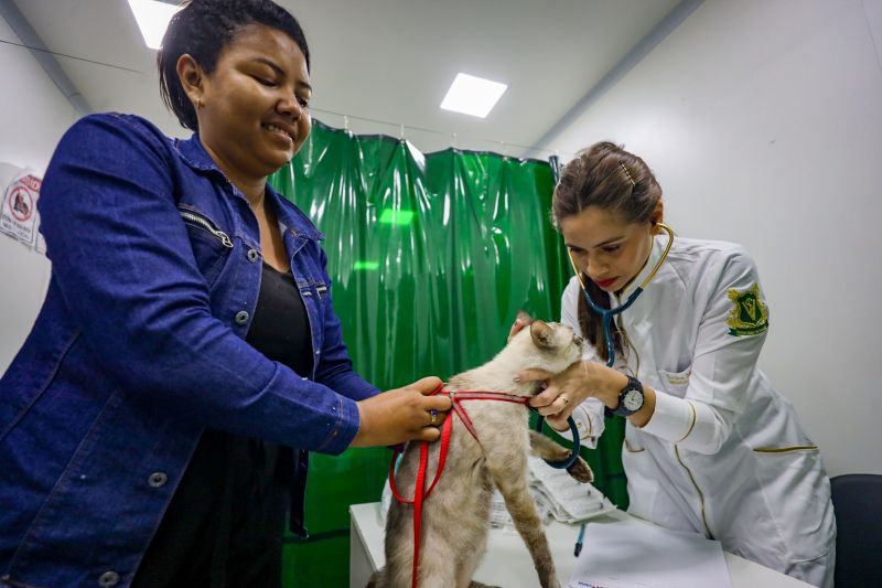  <div class='credito_fotos'>Foto: Bruno Cecim / Ag.Pará &nbsp;&nbsp;|&nbsp;&nbsp; <a href='/midias/2024/originais/18666_9a3de7ab-ee6d-4cac-e5f8-4e495abf0b18.jpg' download><i class='fa-solid fa-download'></i> Download</a></div>