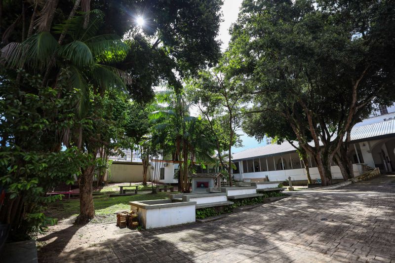  <div class='credito_fotos'>Foto: Rodrigo Pinheiro / Ag.Pará &nbsp;&nbsp;|&nbsp;&nbsp; <a href='/midias/2024/originais/18673_f1bab442-e763-5105-927d-2a2bbfc39379.jpg' download><i class='fa-solid fa-download'></i> Download</a></div>