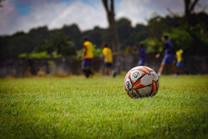  <div class='credito_fotos'>Foto: Pedro Guerreiro / Ag. Pará &nbsp;&nbsp;|&nbsp;&nbsp; <a href='/midias/2024/originais/18685_6555e7ac-1129-648e-972a-68c82959dbad.jpg' download><i class='fa-solid fa-download'></i> Download</a></div>