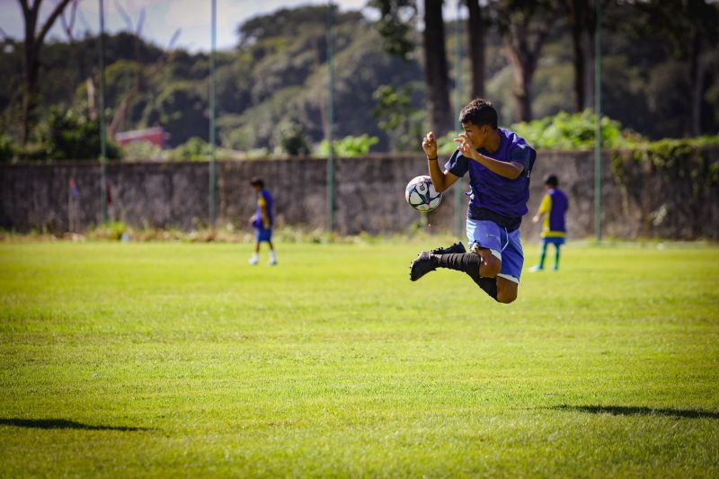  <div class='credito_fotos'>Foto: Pedro Guerreiro / Ag. Pará &nbsp;&nbsp;|&nbsp;&nbsp; <a href='/midias/2024/originais/18685_91bbe2ad-1dc5-0b48-b99e-651c267f74cd.jpg' download><i class='fa-solid fa-download'></i> Download</a></div>