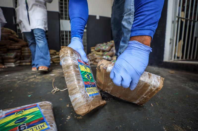  <div class='credito_fotos'>Foto: Marcelo Lelis / Ag. Pará &nbsp;&nbsp;|&nbsp;&nbsp; <a href='/midias/2024/originais/18723_0ff170b5-fe88-4433-709f-128fadf7b643.jpg' download><i class='fa-solid fa-download'></i> Download</a></div>