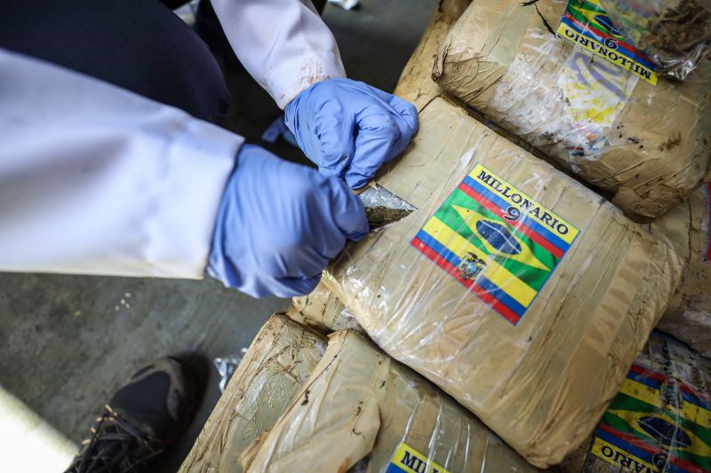  <div class='credito_fotos'>Foto: Marcelo Lelis / Ag. Pará &nbsp;&nbsp;|&nbsp;&nbsp; <a href='/midias/2024/originais/18723_1e41ae04-6e23-9da9-0811-efb0ebd3c501.jpg' download><i class='fa-solid fa-download'></i> Download</a></div>