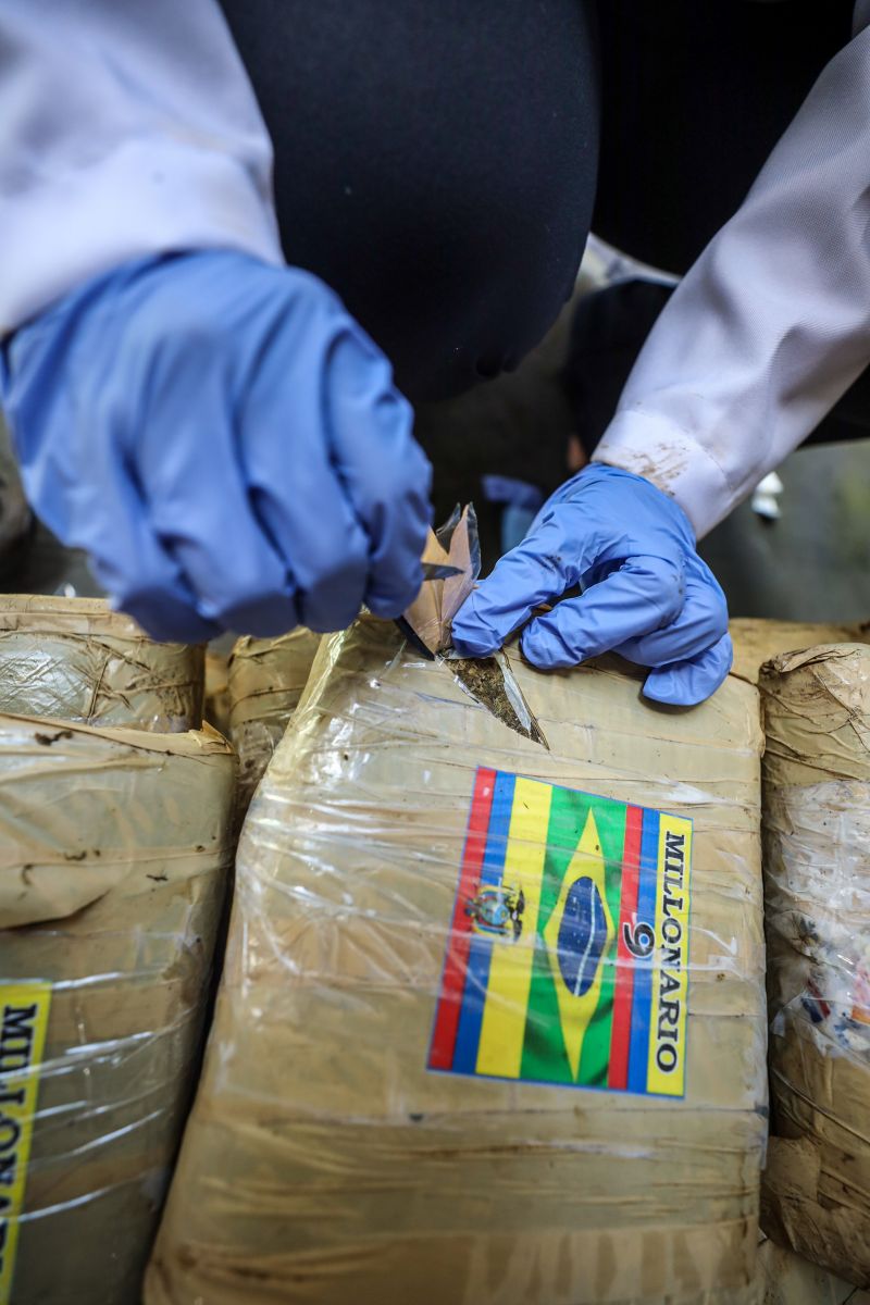  <div class='credito_fotos'>Foto: Marcelo Lelis / Ag. Pará &nbsp;&nbsp;|&nbsp;&nbsp; <a href='/midias/2024/originais/18723_81d1563b-0d37-93d6-91d0-b28ba5100f9b.jpg' download><i class='fa-solid fa-download'></i> Download</a></div>