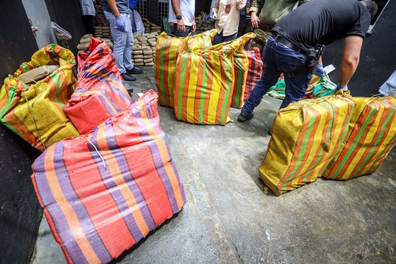  <div class='credito_fotos'>Foto: Marcelo Lelis / Ag. Pará &nbsp;&nbsp;|&nbsp;&nbsp; <a href='/midias/2024/originais/18723_b1742fca-d676-3ca7-bdb3-25720a32c29b.jpg' download><i class='fa-solid fa-download'></i> Download</a></div>