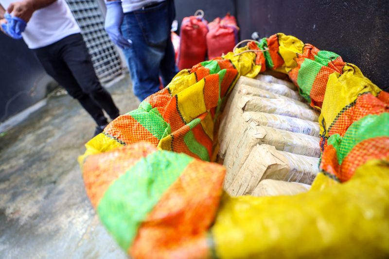  <div class='credito_fotos'>Foto: Marcelo Lelis / Ag. Pará &nbsp;&nbsp;|&nbsp;&nbsp; <a href='/midias/2024/originais/18723_dbeb35b7-7967-3120-27d4-dbff84083d88.jpg' download><i class='fa-solid fa-download'></i> Download</a></div>