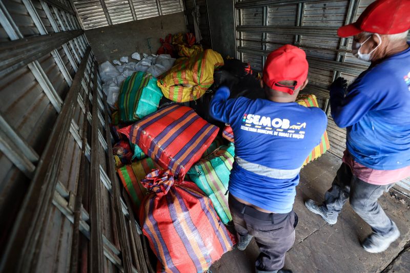  <div class='credito_fotos'>Foto: Marcelo Lelis / Ag. Pará &nbsp;&nbsp;|&nbsp;&nbsp; <a href='/midias/2024/originais/18731_da76f163-77b5-d5be-be11-199a2a789664.jpg' download><i class='fa-solid fa-download'></i> Download</a></div>