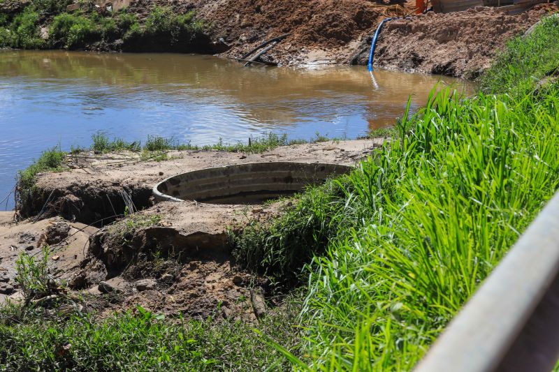  <div class='credito_fotos'>Foto: Bruno Cruz / Ag. Pará &nbsp;&nbsp;|&nbsp;&nbsp; <a href='/midias/2024/originais/18779_048545f4-ec79-85e6-7b30-080bc4035ab6.jpg' download><i class='fa-solid fa-download'></i> Download</a></div>