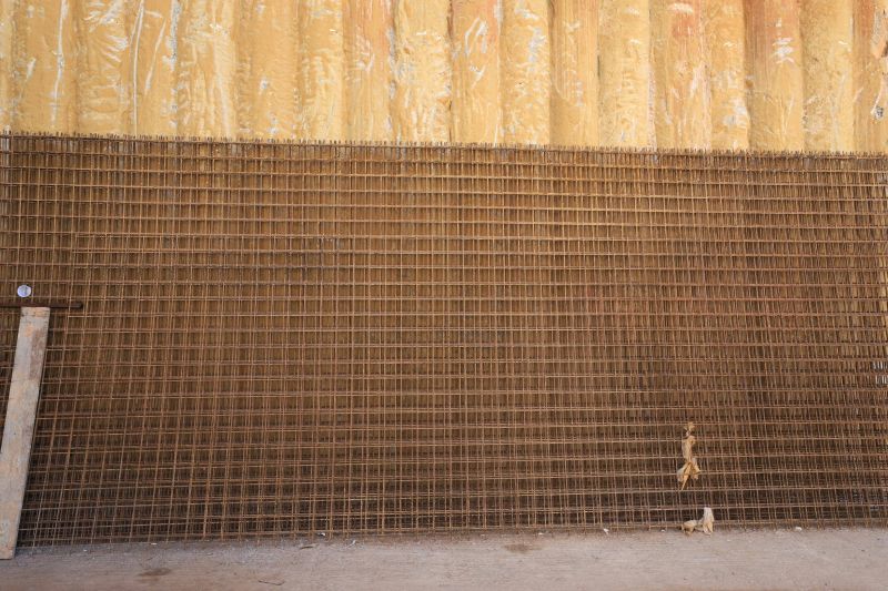  <div class='credito_fotos'>Foto: Bruno Cruz / Ag. Pará &nbsp;&nbsp;|&nbsp;&nbsp; <a href='/midias/2024/originais/18779_b9a17126-c6c2-eb71-f4b1-1f3caa0824ca.jpg' download><i class='fa-solid fa-download'></i> Download</a></div>