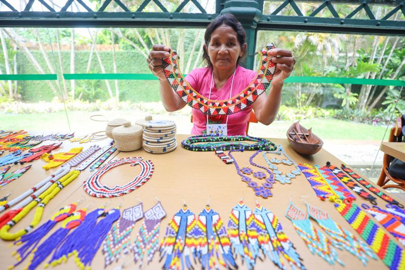  <div class='credito_fotos'>Foto: Bruno Cecim / Ag.Pará &nbsp;&nbsp;|&nbsp;&nbsp; <a href='/midias/2024/originais/18802_d3231c29-f41b-92ba-f8d6-07d74b102ab2.jpg' download><i class='fa-solid fa-download'></i> Download</a></div>