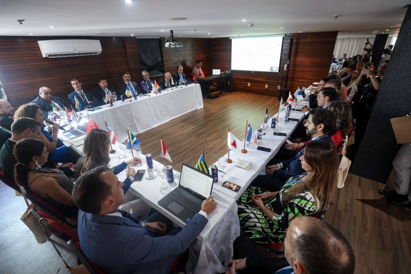  <div class='credito_fotos'>Foto: Marcelo Lelis / Ag. Pará &nbsp;&nbsp;|&nbsp;&nbsp; <a href='/midias/2024/originais/18811_15e95a14-2d02-341e-1a71-0e352297117c.jpg' download><i class='fa-solid fa-download'></i> Download</a></div>