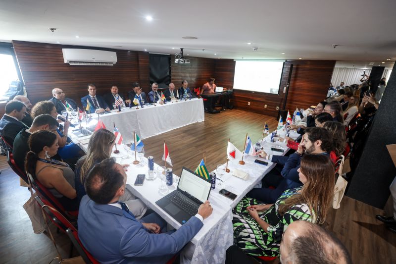  <div class='credito_fotos'>Foto: Marcelo Lelis / Ag. Pará &nbsp;&nbsp;|&nbsp;&nbsp; <a href='/midias/2024/originais/18811_8623fbb8-d0ba-de8d-9aa3-64f1ec7c8f98.jpg' download><i class='fa-solid fa-download'></i> Download</a></div>