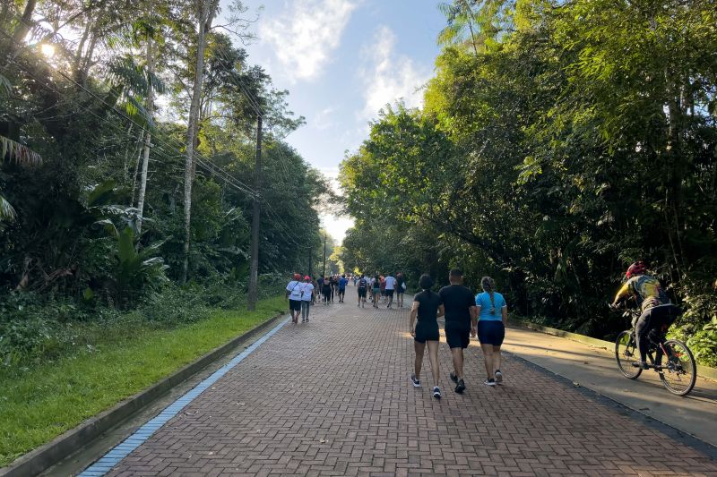  <div class='credito_fotos'>Foto: Vinícius Leal / Ascom Ideflor-Bio &nbsp;&nbsp;|&nbsp;&nbsp; <a href='/midias/2024/originais/18852_1616fd50-d94d-00a3-27b9-517353129a5e.jpg' download><i class='fa-solid fa-download'></i> Download</a></div>