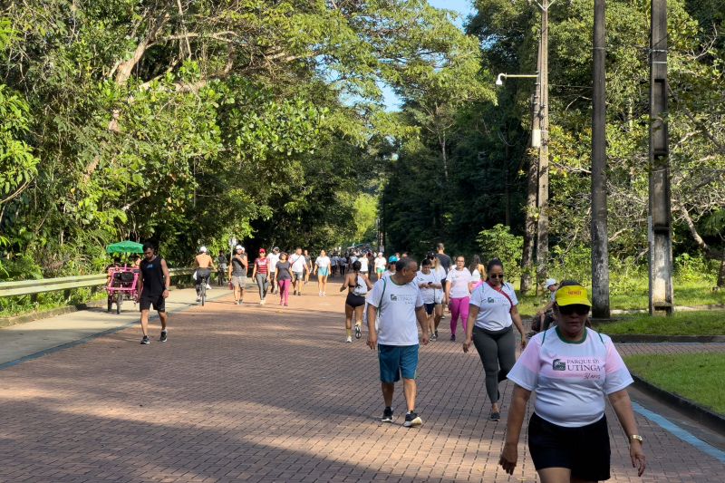  <div class='credito_fotos'>Foto: Vinícius Leal / Ascom Ideflor-Bio &nbsp;&nbsp;|&nbsp;&nbsp; <a href='/midias/2024/originais/18852_17e5f445-6aa9-a428-45ac-1609866cd884.jpg' download><i class='fa-solid fa-download'></i> Download</a></div>