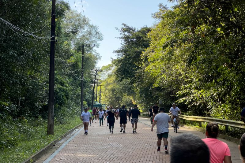  <div class='credito_fotos'>Foto: Vinícius Leal / Ascom Ideflor-Bio &nbsp;&nbsp;|&nbsp;&nbsp; <a href='/midias/2024/originais/18852_dfa765ce-f700-aa11-aedf-78a3ba962def.jpg' download><i class='fa-solid fa-download'></i> Download</a></div>