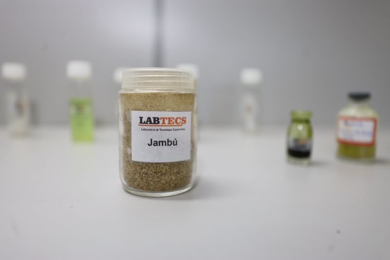  <div class='credito_fotos'>Foto: Bruno Cecim / Ag.Pará &nbsp;&nbsp;|&nbsp;&nbsp; <a href='/midias/2024/originais/18855_3392e02e-df45-64d6-d36f-bd32c5944f46.jpg' download><i class='fa-solid fa-download'></i> Download</a></div>