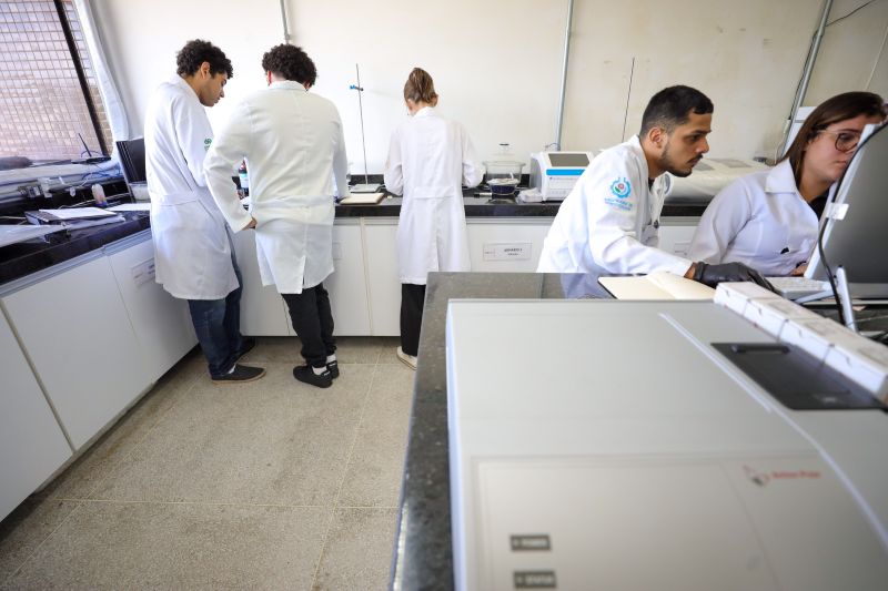  <div class='credito_fotos'>Foto: Bruno Cecim / Ag.Pará &nbsp;&nbsp;|&nbsp;&nbsp; <a href='/midias/2024/originais/18855_33abcfdd-19bc-28cb-ff65-d7897418c925.jpg' download><i class='fa-solid fa-download'></i> Download</a></div>