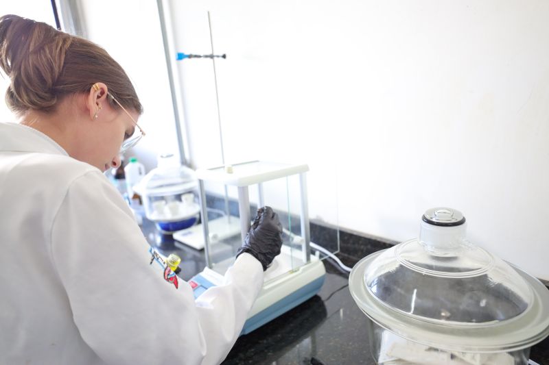  <div class='credito_fotos'>Foto: Bruno Cecim / Ag.Pará &nbsp;&nbsp;|&nbsp;&nbsp; <a href='/midias/2024/originais/18855_33c370ca-6b79-1760-fc43-aaab8a28922d.jpg' download><i class='fa-solid fa-download'></i> Download</a></div>