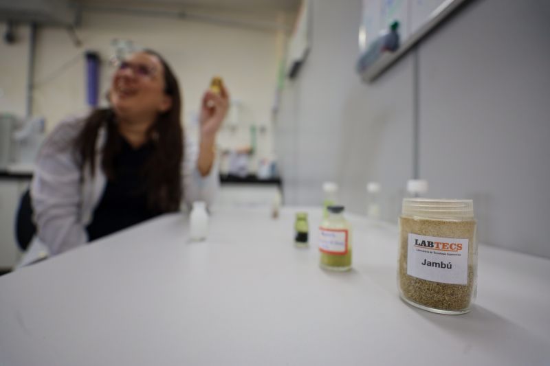  <div class='credito_fotos'>Foto: Bruno Cecim / Ag.Pará &nbsp;&nbsp;|&nbsp;&nbsp; <a href='/midias/2024/originais/18855_3db9aa61-c87c-7253-5bc7-718c0399e393.jpg' download><i class='fa-solid fa-download'></i> Download</a></div>