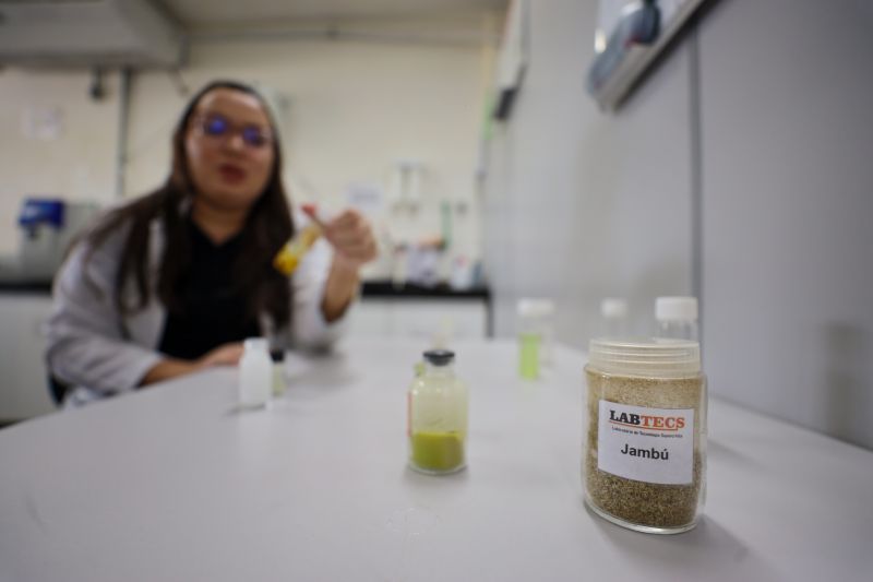  <div class='credito_fotos'>Foto: Bruno Cecim / Ag.Pará &nbsp;&nbsp;|&nbsp;&nbsp; <a href='/midias/2024/originais/18855_415bcaa4-2f50-5d77-6b75-c0cd1d0454d9.jpg' download><i class='fa-solid fa-download'></i> Download</a></div>