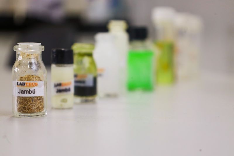  <div class='credito_fotos'>Foto: Bruno Cecim / Ag.Pará &nbsp;&nbsp;|&nbsp;&nbsp; <a href='/midias/2024/originais/18855_4d2bd1ac-682f-30e6-e120-2b75bcedfe8f.jpg' download><i class='fa-solid fa-download'></i> Download</a></div>