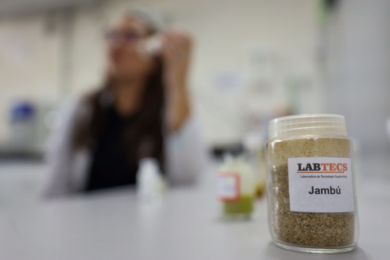  <div class='credito_fotos'>Foto: Bruno Cecim / Ag.Pará &nbsp;&nbsp;|&nbsp;&nbsp; <a href='/midias/2024/originais/18855_54aec3ca-271e-7599-022d-c0a48ed1d544.jpg' download><i class='fa-solid fa-download'></i> Download</a></div>