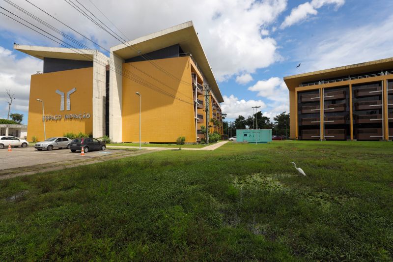  <div class='credito_fotos'>Foto: Bruno Cecim / Ag.Pará &nbsp;&nbsp;|&nbsp;&nbsp; <a href='/midias/2024/originais/18855_6283539d-11b6-2510-2e19-e1a656a053b9.jpg' download><i class='fa-solid fa-download'></i> Download</a></div>