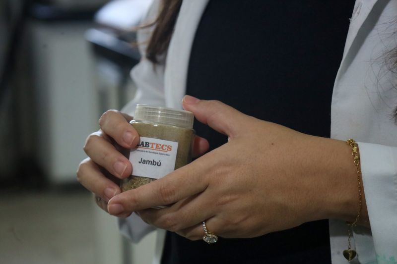  <div class='credito_fotos'>Foto: Bruno Cecim / Ag.Pará &nbsp;&nbsp;|&nbsp;&nbsp; <a href='/midias/2024/originais/18855_6fe25adb-7409-a2ec-586f-e28791f0142e.jpg' download><i class='fa-solid fa-download'></i> Download</a></div>