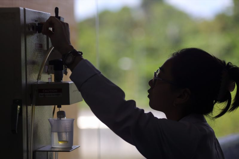  <div class='credito_fotos'>Foto: Bruno Cecim / Ag.Pará &nbsp;&nbsp;|&nbsp;&nbsp; <a href='/midias/2024/originais/18855_747563be-141d-4a8c-34a4-c0158681a278.jpg' download><i class='fa-solid fa-download'></i> Download</a></div>