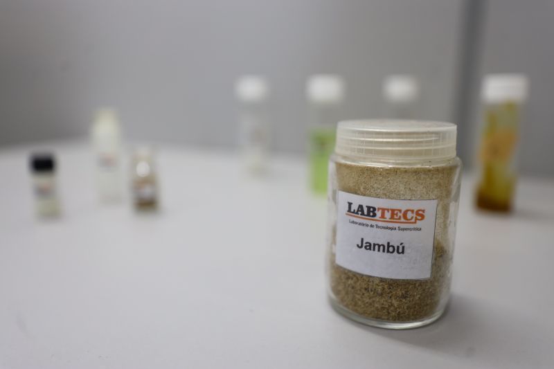  <div class='credito_fotos'>Foto: Bruno Cecim / Ag.Pará &nbsp;&nbsp;|&nbsp;&nbsp; <a href='/midias/2024/originais/18855_89015b7d-1aa3-bb24-0978-a768dfb5330b.jpg' download><i class='fa-solid fa-download'></i> Download</a></div>