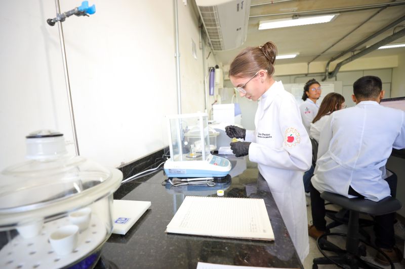  <div class='credito_fotos'>Foto: Bruno Cecim / Ag.Pará &nbsp;&nbsp;|&nbsp;&nbsp; <a href='/midias/2024/originais/18855_a5255dcc-e707-8f0f-e505-33d03cd85660.jpg' download><i class='fa-solid fa-download'></i> Download</a></div>