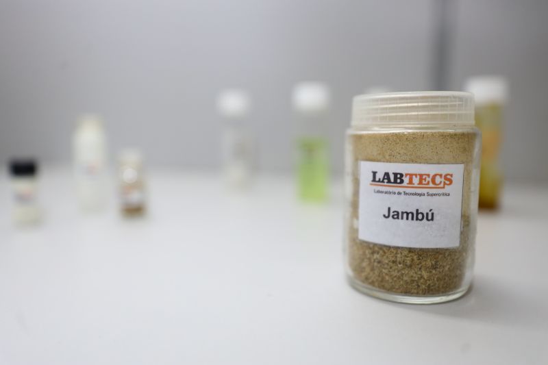  <div class='credito_fotos'>Foto: Bruno Cecim / Ag.Pará &nbsp;&nbsp;|&nbsp;&nbsp; <a href='/midias/2024/originais/18855_a77a0bd4-ac16-b7b8-5e02-fdb7b52314f9.jpg' download><i class='fa-solid fa-download'></i> Download</a></div>