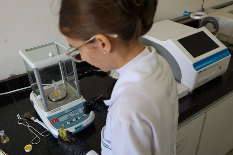  <div class='credito_fotos'>Foto: Bruno Cecim / Ag.Pará &nbsp;&nbsp;|&nbsp;&nbsp; <a href='/midias/2024/originais/18855_b70581ed-3bcd-989d-58f3-d648ca54f778.jpg' download><i class='fa-solid fa-download'></i> Download</a></div>