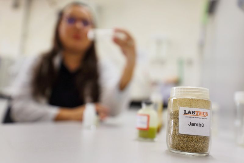  <div class='credito_fotos'>Foto: Bruno Cecim / Ag.Pará &nbsp;&nbsp;|&nbsp;&nbsp; <a href='/midias/2024/originais/18855_c5a66ae7-0ce3-860e-202d-5501b404897d.jpg' download><i class='fa-solid fa-download'></i> Download</a></div>