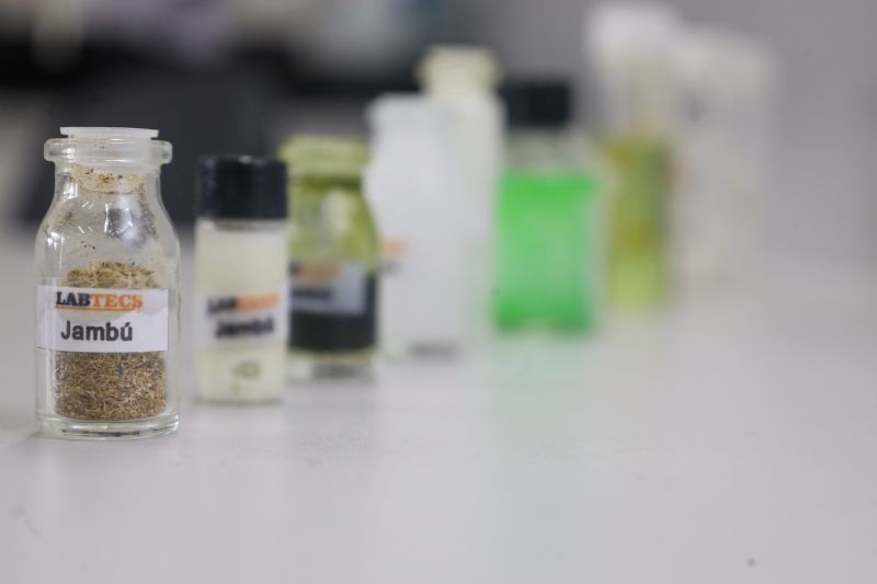  <div class='credito_fotos'>Foto: Bruno Cecim / Ag.Pará &nbsp;&nbsp;|&nbsp;&nbsp; <a href='/midias/2024/originais/18855_d9ce402a-2afc-d9a3-6568-eadb9c36611d.jpg' download><i class='fa-solid fa-download'></i> Download</a></div>