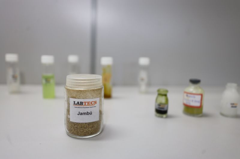  <div class='credito_fotos'>Foto: Bruno Cecim / Ag.Pará &nbsp;&nbsp;|&nbsp;&nbsp; <a href='/midias/2024/originais/18855_dea99161-8797-eb04-1ee7-9590297985e2.jpg' download><i class='fa-solid fa-download'></i> Download</a></div>