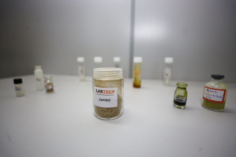  <div class='credito_fotos'>Foto: Bruno Cecim / Ag.Pará &nbsp;&nbsp;|&nbsp;&nbsp; <a href='/midias/2024/originais/18855_dffa1130-48ba-28de-c01b-46792aaea5f3.jpg' download><i class='fa-solid fa-download'></i> Download</a></div>