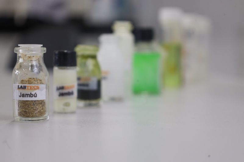  <div class='credito_fotos'>Foto: Bruno Cecim / Ag.Pará &nbsp;&nbsp;|&nbsp;&nbsp; <a href='/midias/2024/originais/18855_e508ce25-b8fe-747f-9a57-39d077f7afa1.jpg' download><i class='fa-solid fa-download'></i> Download</a></div>