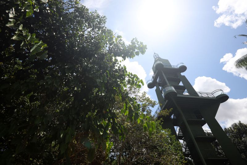  <div class='credito_fotos'>Foto: Pedro Guerreiro / Ag. Pará &nbsp;&nbsp;|&nbsp;&nbsp; <a href='/midias/2024/originais/18874_0df6ed95-2fed-82f3-7149-68f97aa266eb.jpg' download><i class='fa-solid fa-download'></i> Download</a></div>