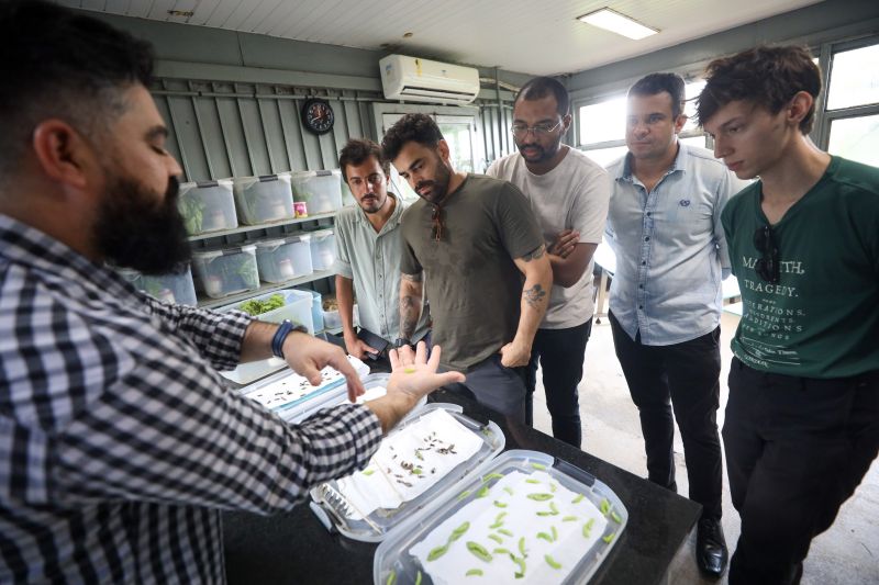  <div class='credito_fotos'>Foto: Pedro Guerreiro / Ag. Pará &nbsp;&nbsp;|&nbsp;&nbsp; <a href='/midias/2024/originais/18874_1c830cb8-5a1e-f730-0ebe-fb91a49adcea.jpg' download><i class='fa-solid fa-download'></i> Download</a></div>