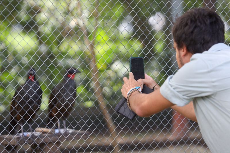  <div class='credito_fotos'>Foto: Pedro Guerreiro / Ag. Pará &nbsp;&nbsp;|&nbsp;&nbsp; <a href='/midias/2024/originais/18874_22ac44d8-63aa-043f-8b6f-8191f514a6c0.jpg' download><i class='fa-solid fa-download'></i> Download</a></div>