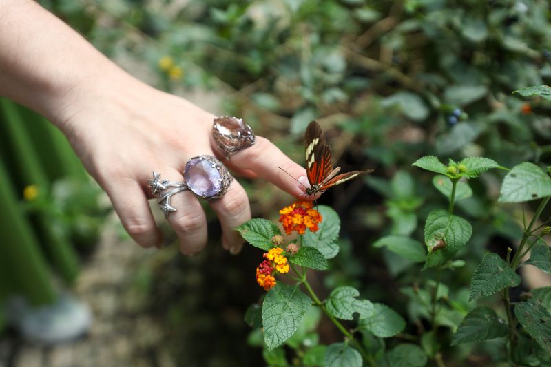  <div class='credito_fotos'>Foto: Pedro Guerreiro / Ag. Pará &nbsp;&nbsp;|&nbsp;&nbsp; <a href='/midias/2024/originais/18874_2df01164-c8f1-9520-d0cb-8afee99ae6b5.jpg' download><i class='fa-solid fa-download'></i> Download</a></div>