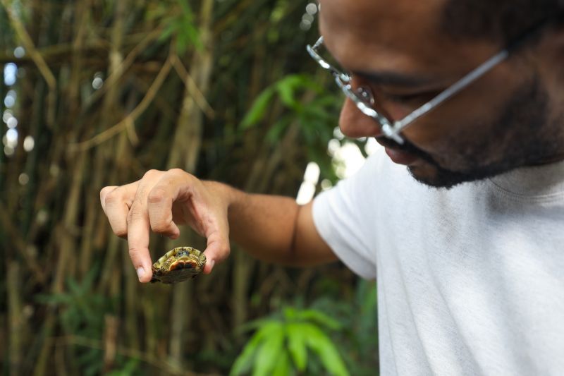  <div class='credito_fotos'>Foto: Pedro Guerreiro / Ag. Pará &nbsp;&nbsp;|&nbsp;&nbsp; <a href='/midias/2024/originais/18874_2fc6f3da-84bd-1358-cf2b-1a3577b96ca6.jpg' download><i class='fa-solid fa-download'></i> Download</a></div>