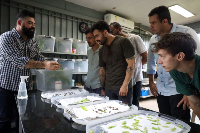  <div class='credito_fotos'>Foto: Pedro Guerreiro / Ag. Pará &nbsp;&nbsp;|&nbsp;&nbsp; <a href='/midias/2024/originais/18874_481e0890-f6e3-fd65-9e64-334d3503ce5d.jpg' download><i class='fa-solid fa-download'></i> Download</a></div>