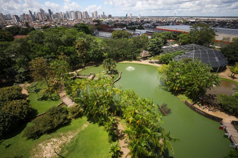  <div class='credito_fotos'>Foto: Pedro Guerreiro / Ag. Pará &nbsp;&nbsp;|&nbsp;&nbsp; <a href='/midias/2024/originais/18874_6951ccec-1627-c442-715f-c77bb4382055.jpg' download><i class='fa-solid fa-download'></i> Download</a></div>