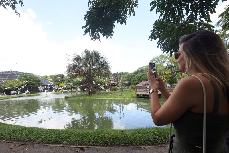  <div class='credito_fotos'>Foto: Pedro Guerreiro / Ag. Pará &nbsp;&nbsp;|&nbsp;&nbsp; <a href='/midias/2024/originais/18874_74500e51-b35e-3948-66b7-af74a13e21ff.jpg' download><i class='fa-solid fa-download'></i> Download</a></div>