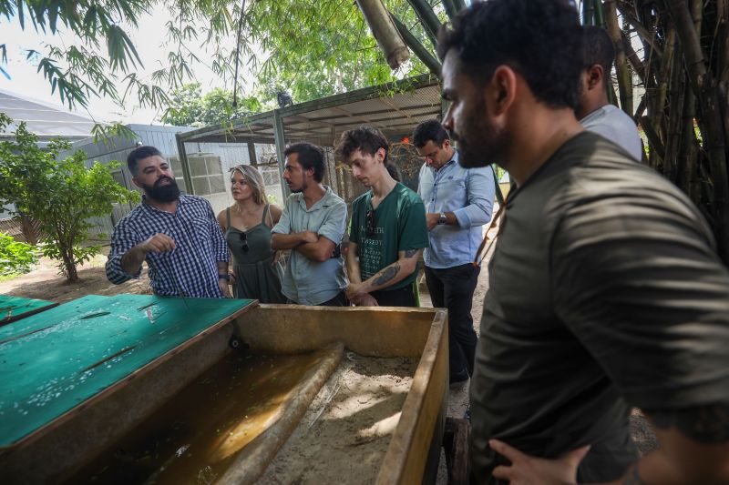  <div class='credito_fotos'>Foto: Pedro Guerreiro / Ag. Pará &nbsp;&nbsp;|&nbsp;&nbsp; <a href='/midias/2024/originais/18874_8e9b0e67-c50d-a1bf-536c-6172e9128ae9.jpg' download><i class='fa-solid fa-download'></i> Download</a></div>